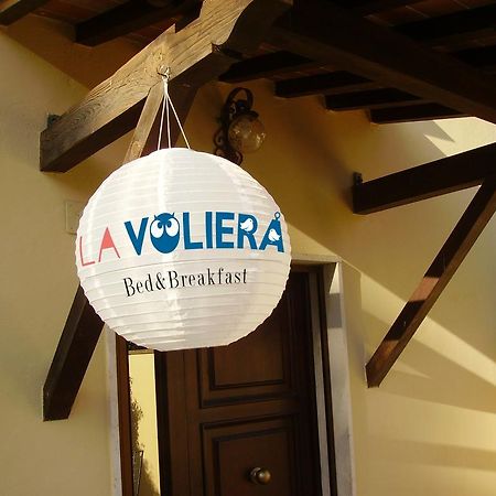 La Voliera Bed & Breakfast 피사 외부 사진
